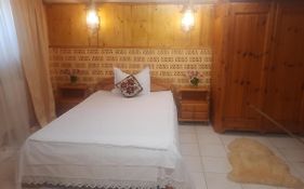 Apartament Pe Malul Raului Bega