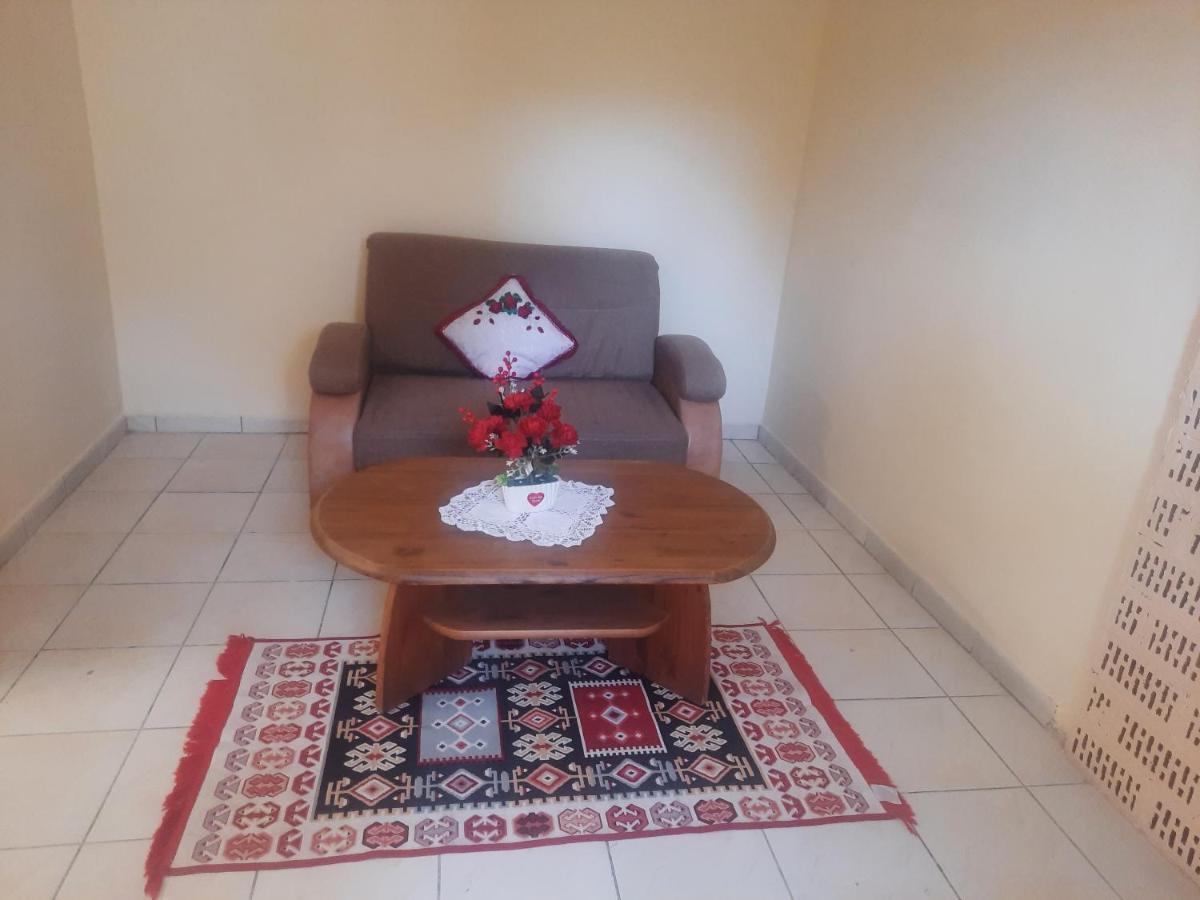 Apartament Pe Malul Raului Bega Timisoara Exterior foto